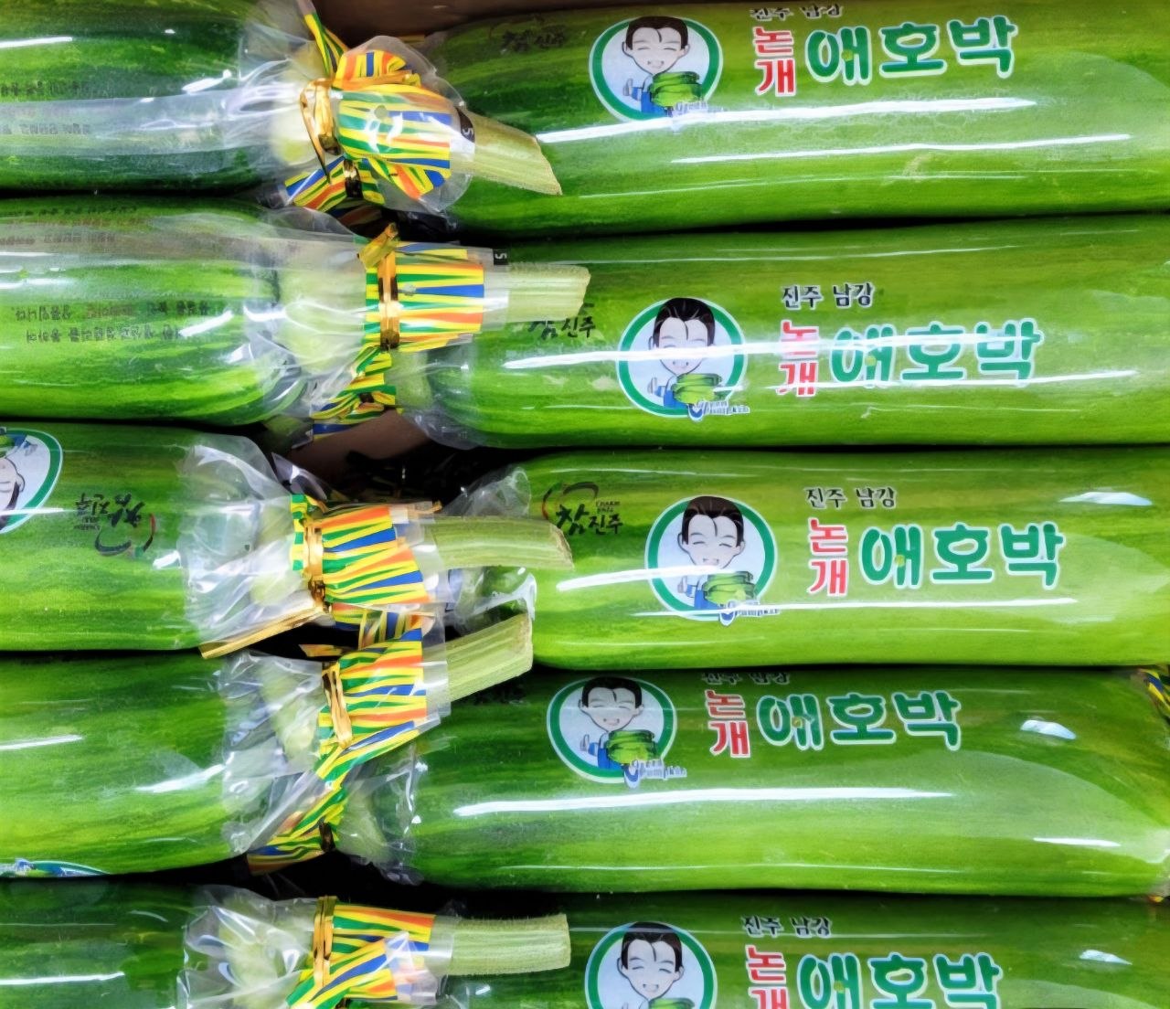 한국 애호박