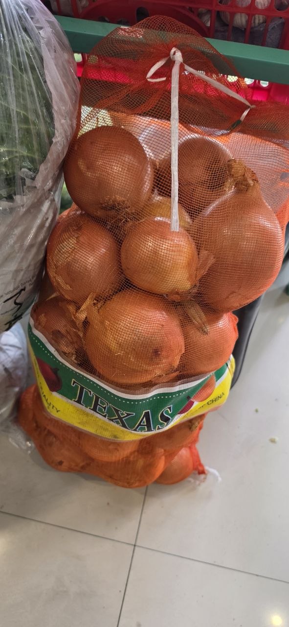양파