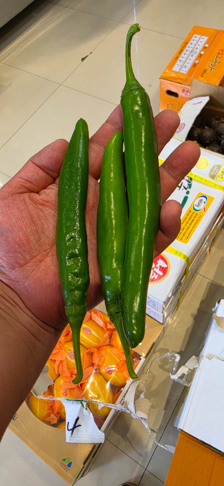 아삭이고추